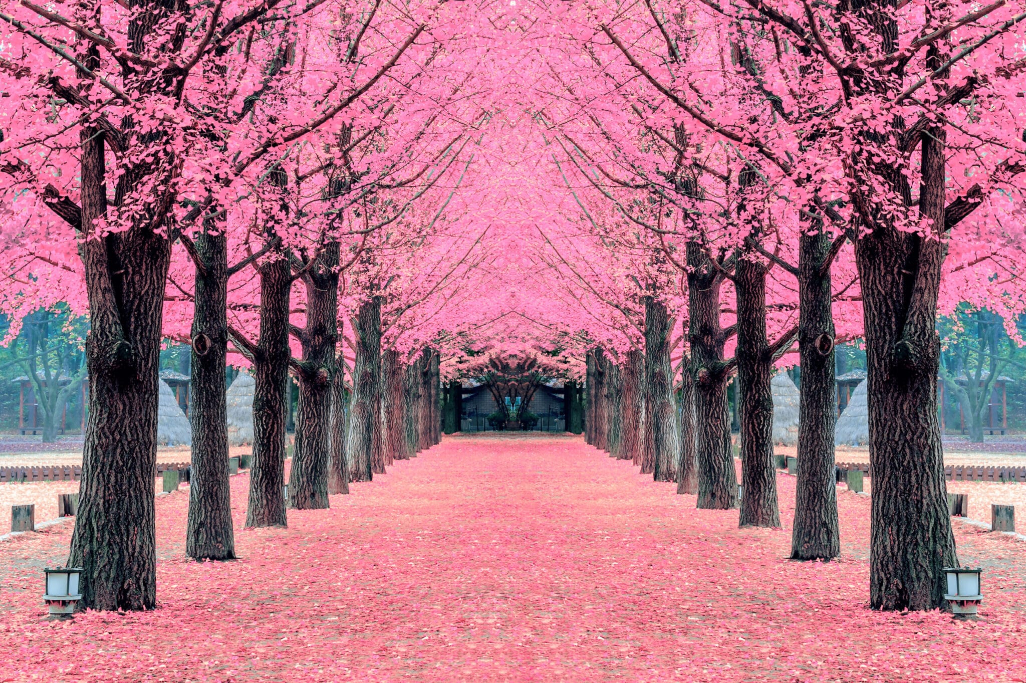 Destination